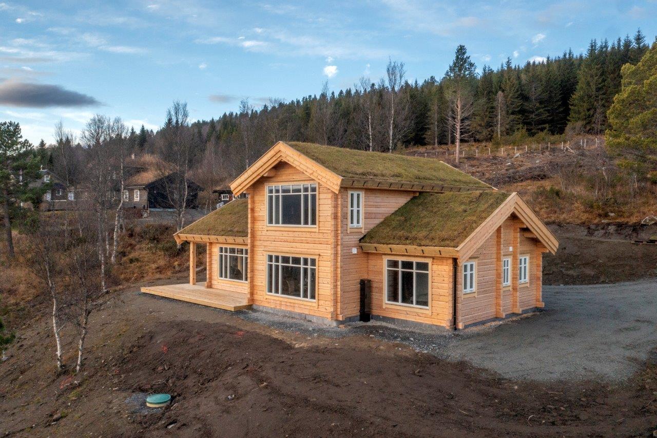 Team of craftsmen working together